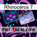 Rhinocéros 7 37